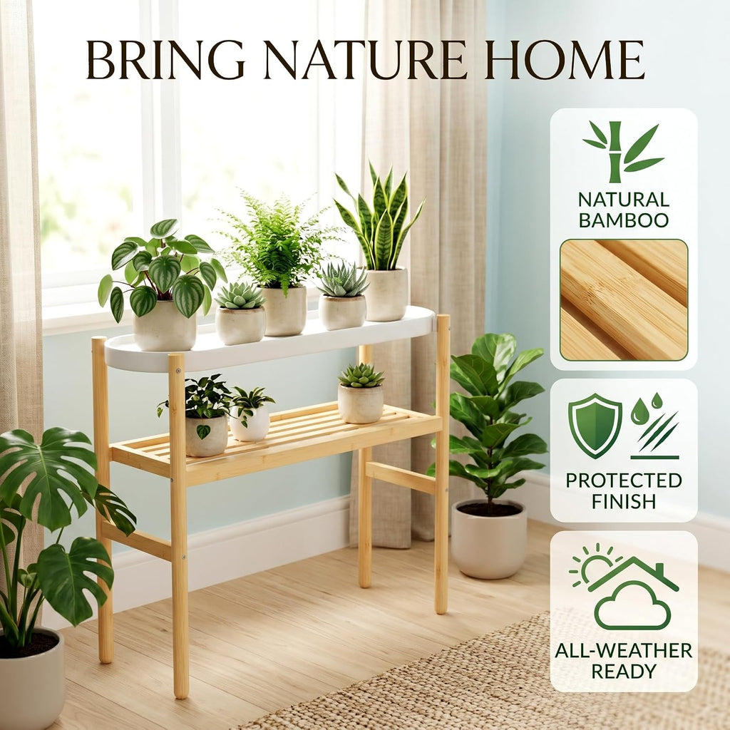 Two Tier Natural Bamboo Indoor Plant Stand